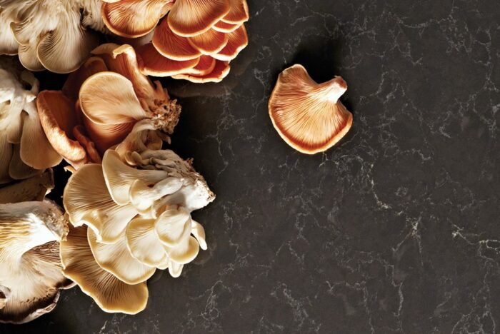 Piatra Grey 5003 Caesarstone kwartscomposiet keukenblad - Afbeelding 3